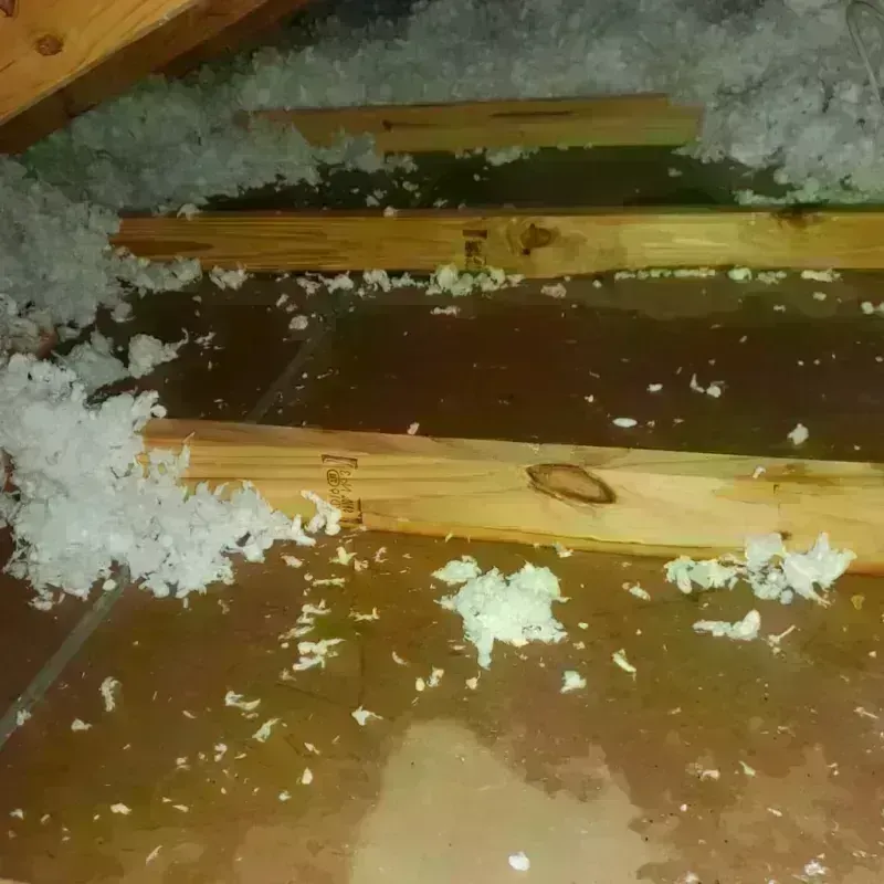 Attic Water Damage in Republic, WA