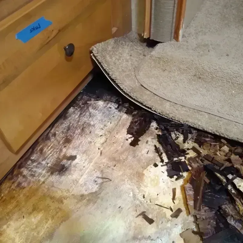 Best Wood Floor Water Damage Service in Republic, WA